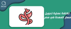 تكلفة عملية تحويل مسار المعدة في مصر